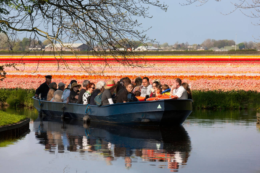 Tour Châu Âu  tháng 4 - Lễ hội hoa tulip Hà Lan rực rỡ mùa xuân