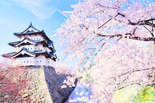 DU LỊCH NHẬT BẢN : NAGOYA - MATSUMOTO - YAMANASHI - NARITA TẾT 2026 (VJ)