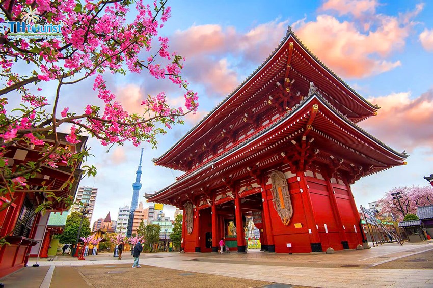 Du Lịch Tết 2025: Săn Vé Máy Bay, Chọn Điểm Đến Và Kế Hoạch Lý Tưởng