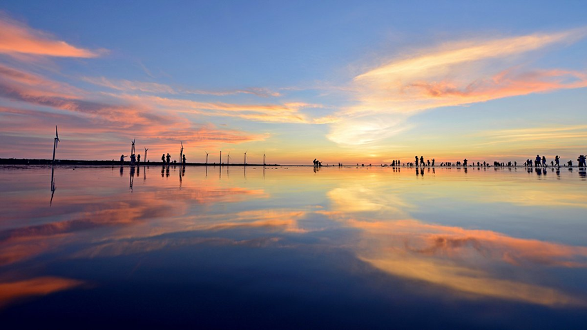 Gaomei Wetlands mùa thu 2025 | Điểm ngắm hoàng hôn lãng mạn nhất Đài Loan