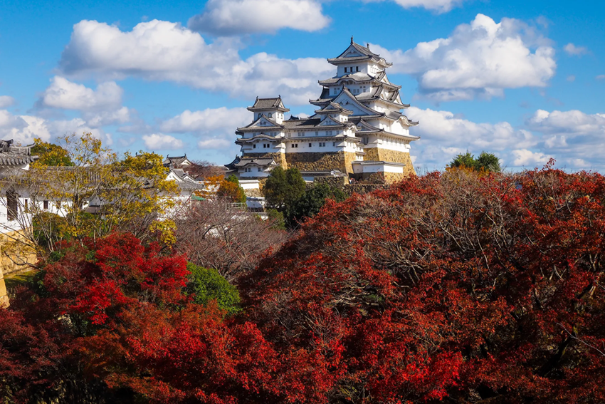 Lâu đài Himeji mùa thu – Vẻ đẹp “Hạc Trắng” giữa rừng phong đỏ